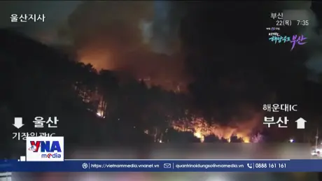 Cháy rừng dữ dội ở Busan ngày thứ hai liên tiếp
