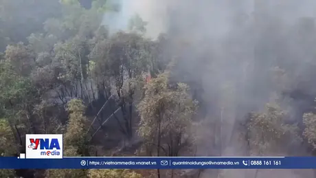 Kịp thời khống chế vụ cháy rừng tại Khu di tích lịch sử cách mạng