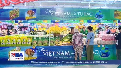 Thúc đẩy phát triển thương mại trong nước