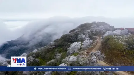 Miền Bắc đảm bảo khung thời vụ an toàn tránh rét