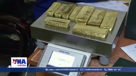 Giá vàng lại lập kỷ lục mới