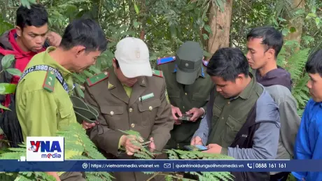 Cộng đồng và công nghệ số tạo “lá chắn” bảo vệ rừng