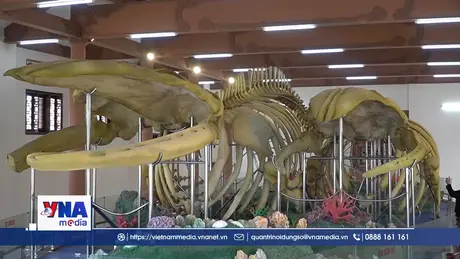 Bộ xương Cá Ông Lăng Tân xuống cấp nghiêm trọng