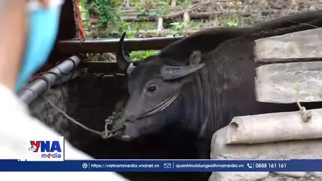 Trạm tin chiều ngày 24/01: Các địa phương chủ động ứng phó với rét đậm, rét hại