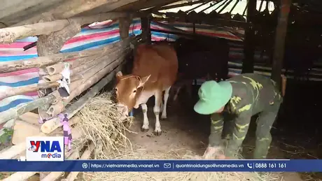 Bảo vệ đàn vật nuôi trong đợt rét đậm, rét hại