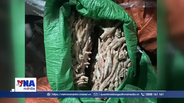 Bắt giữ 800 kg nầm lợn nhập lậu trên biển