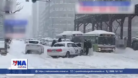 Tuyết rơi dày gây nhiều thương vong tại Nhật Bản