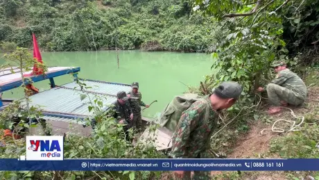 Trồng cây gỗ lớn ở Vườn Quốc gia Sông Thanh