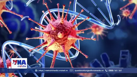 Những lưu ý để phòng bệnh do virus Nipah