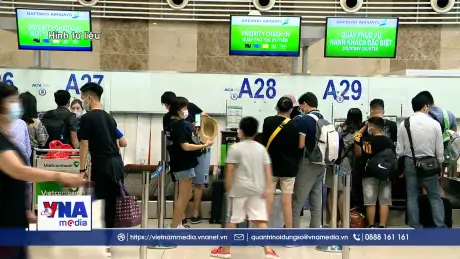 Sở Y tế Hà Nội yêu cầu tăng cường phòng, chống bệnh do virus Nipah