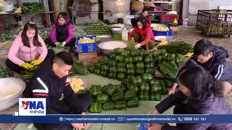 Làng nghề bánh chưng truyền thống tất bật vào vụ