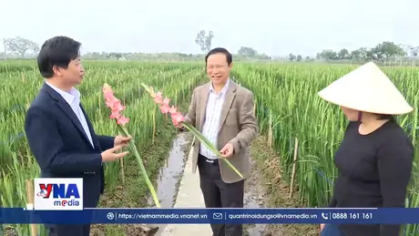 Phát triển vùng trồng hoa, cây cảnh gắn với du lịch nông thôn