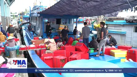 Ngư dân Quảng Ngãi kỳ vọng vào phiên biển đầu năm mới