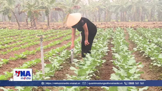 Xã đảo Minh Châu 