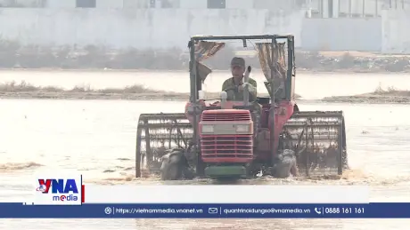 Báo động tình trạng lạm dụng thuốc trừ cỏ