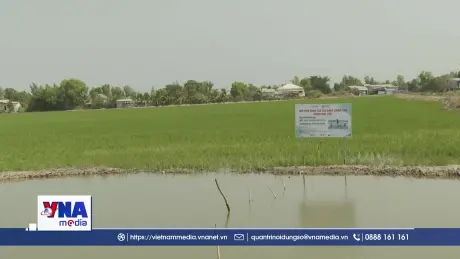 An Giang chủ động đảm bảo thắng lợi vụ lúa Đông Xuân 2025 - 2026