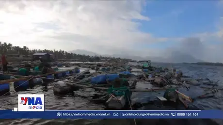 Người nuôi trồng hải sản đang gượng dậy sau bão