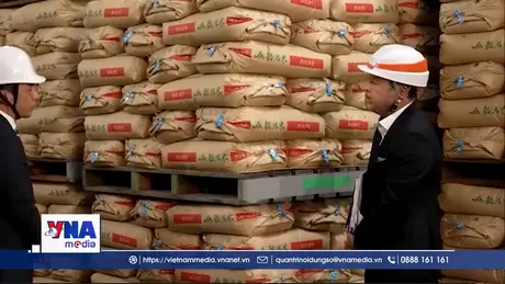 Lượng gạo tồn kho ở Nhật Bản tăng cao kỷ lục