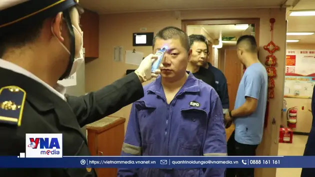 Hải Phòng tăng cường phòng, chống virus Nipah