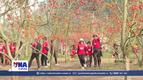 Chinh phục những cung đường mòn tuyệt đẹp ở Mộc Châu