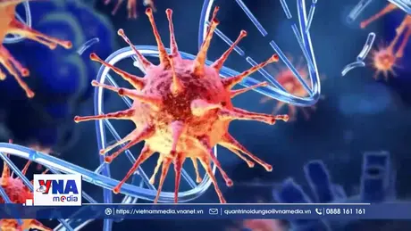 Nhật Bản thử nghiệm lâm sàng vaccine ngừa virus Nipah