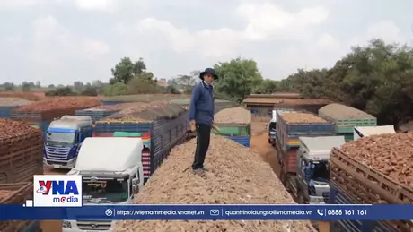 Tây Ninh tháo gỡ khó khăn thủ tục nhập hàng nông sản tại cửa khẩu