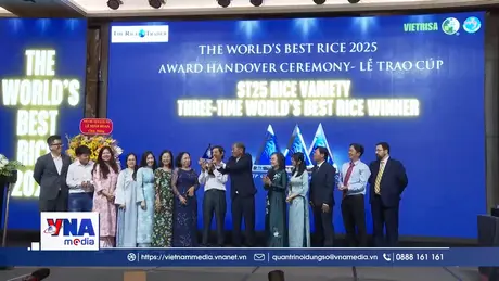 Trao cúp gạo ngon nhất thế giới cho gạo ST25