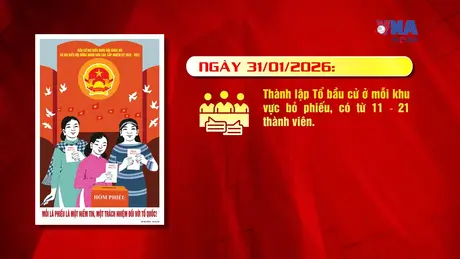 Các mốc tiến hành Bầu cử