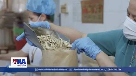 Khởi công Trung tâm Đông y dược hiện đại nhất khu vực phía Nam