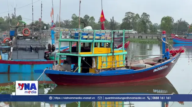 Tái cơ cấu đội tàu đánh bắt, bảo vệ nguồn lợi thủy sản ven bờ