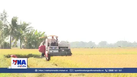 Nông nghiệp sẵn sàng nguồn cung thực phẩm dồi dào cho Tết