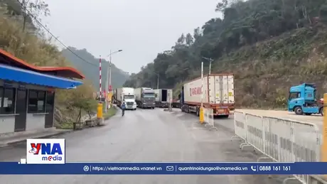 Hải quan trực 24/7 giải tỏa hàng thực phẩm tồn đọng