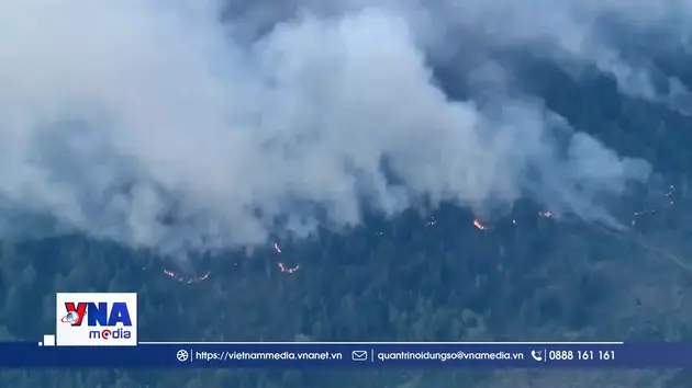 Khói do cháy rừng khiến nhiều người tử vong tại Mỹ