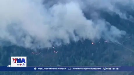 Khói do cháy rừng khiến nhiều người tử vong tại Mỹ