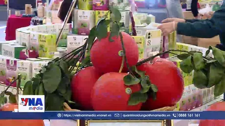  Đặc sản vùng miền hút khách – sức mua tết sôi động