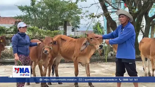 Hỗ trợ sinh kế cho đồng bào vùng lũ Đắk Lắk
