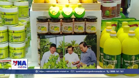 Hội chợ Mùa Xuân 2026, không gian mua sắm Tết đa dạng