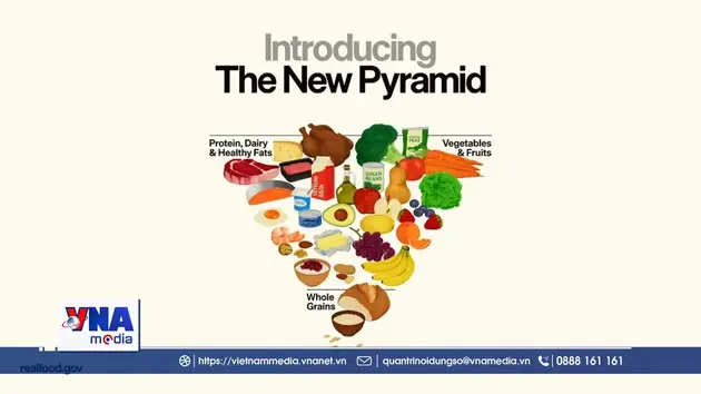 Hiểu đúng về tháp dinh dưỡng đảo ngược khi áp dụng vào bữa ăn người Việt