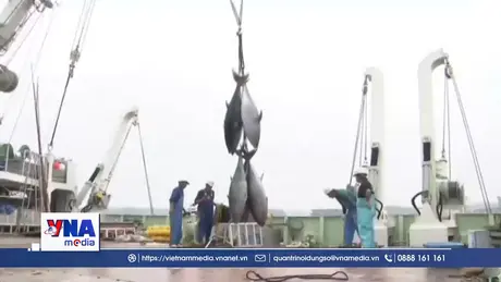 Mỹ cho phép đánh bắt thương mại ngoài khơi Đại Tây Dương