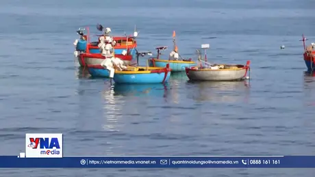 Linh thiêng Lễ tế Thần Nam Hải của ngư dân Quảng Ngãi