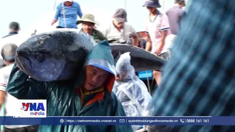 Rộn ràng những chuyến biển cuối năm