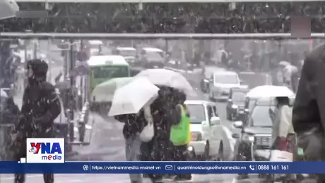 Tuyết rơi dày gây gián đoạn giao thông tại Nhật Bản và Hàn Quốc