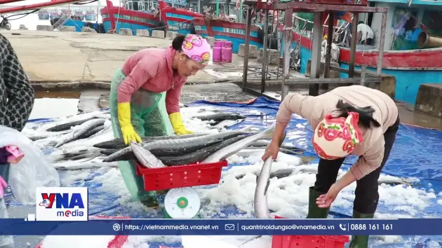 Ngư dân Quảng Trị bội thu những chuyến biển cuối năm