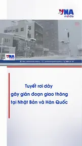 Tuyết rơi dày gây gián đoạn giao thông tại Nhật Bản và Hàn Quốc
