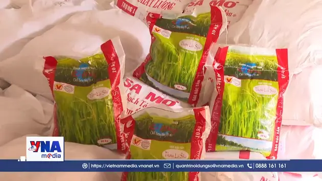 Khởi tố đối tượng buôn, bán gạo giả nhãn hiệu.