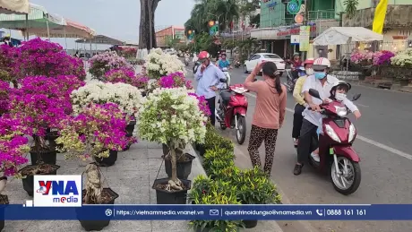 Chợ hoa Xuân Vĩnh Long sôi động ngày cận Tết