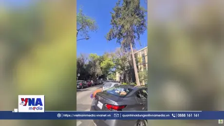 Động đất mạnh tại Mexico và Chile