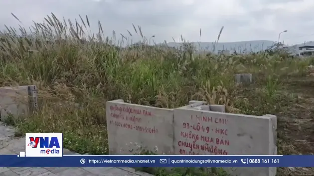 Quảng Ninh quyết tâm 