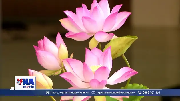 Hoa sen đất sét lên ngôi trong mùa Tết đô thị