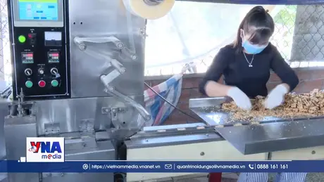 Các làng nghề truyền thống Đồng Tháp hối hả sản xuất dịp Tết